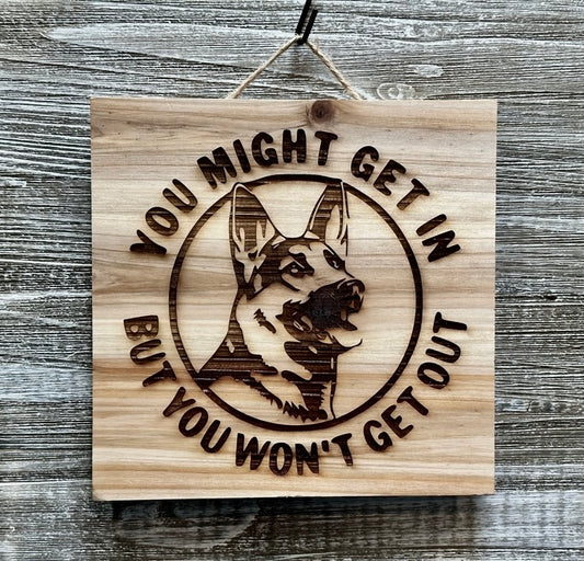You Might Get In-#034 Laser engraved wood art 10x10, free shipping